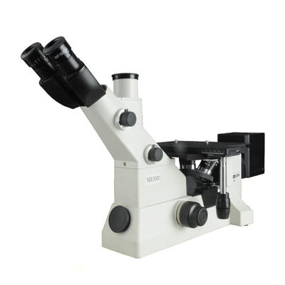 MS 300D Microscope