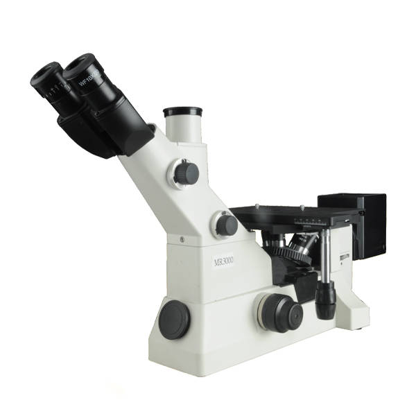 MS Microscope