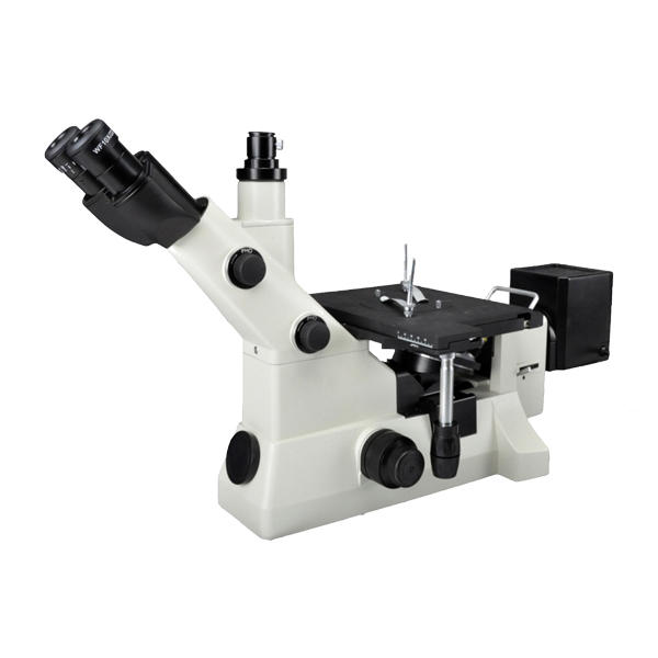 MS 500D Microscope
