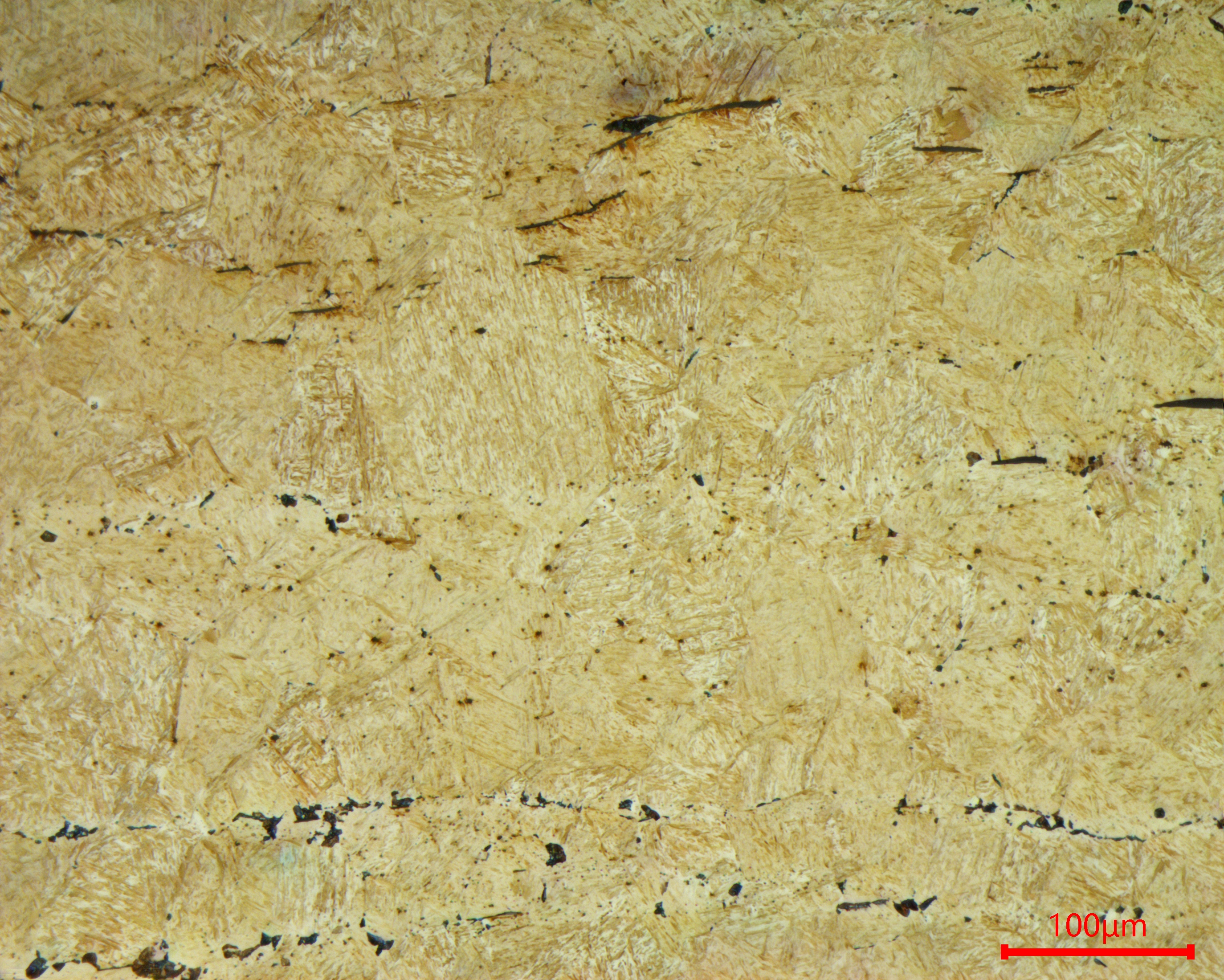 Detailed Martensite/Pearlite Structure