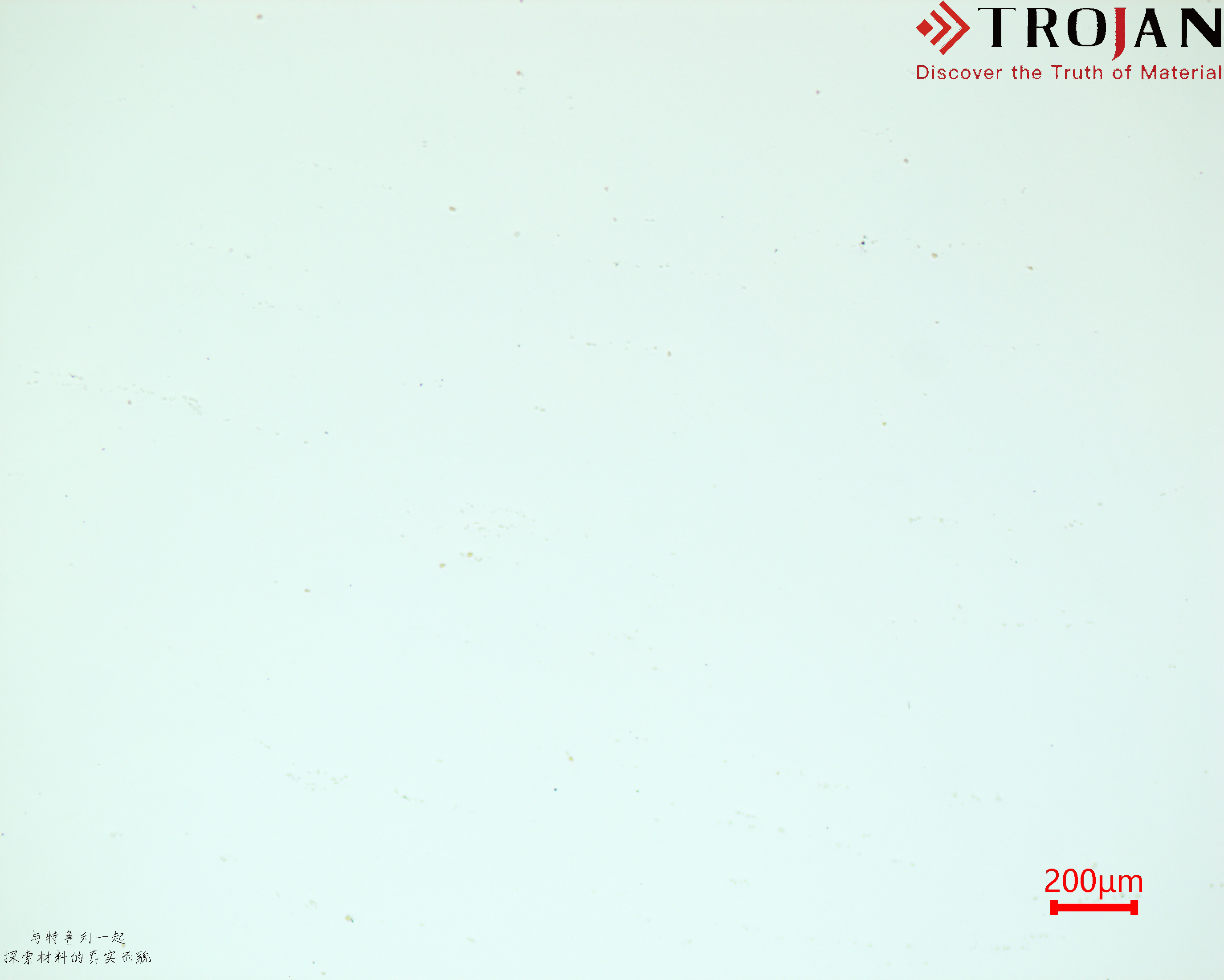 GH4169 Metallographic Microstructure 200μm