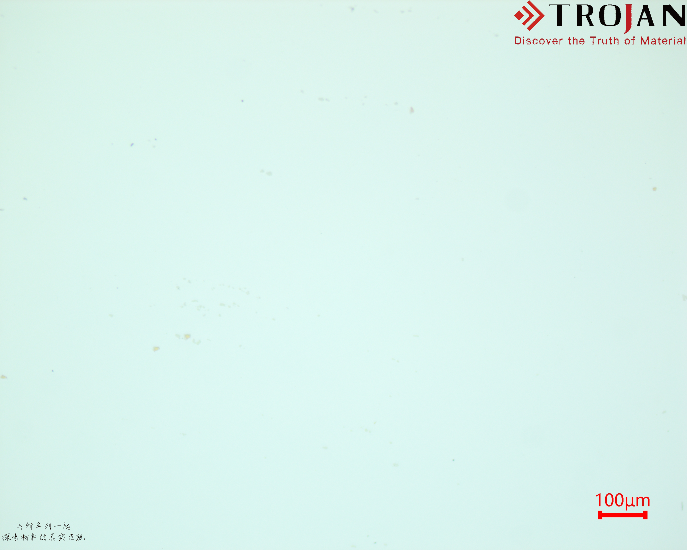 GH4169 Metallographic Microstructure 100μm