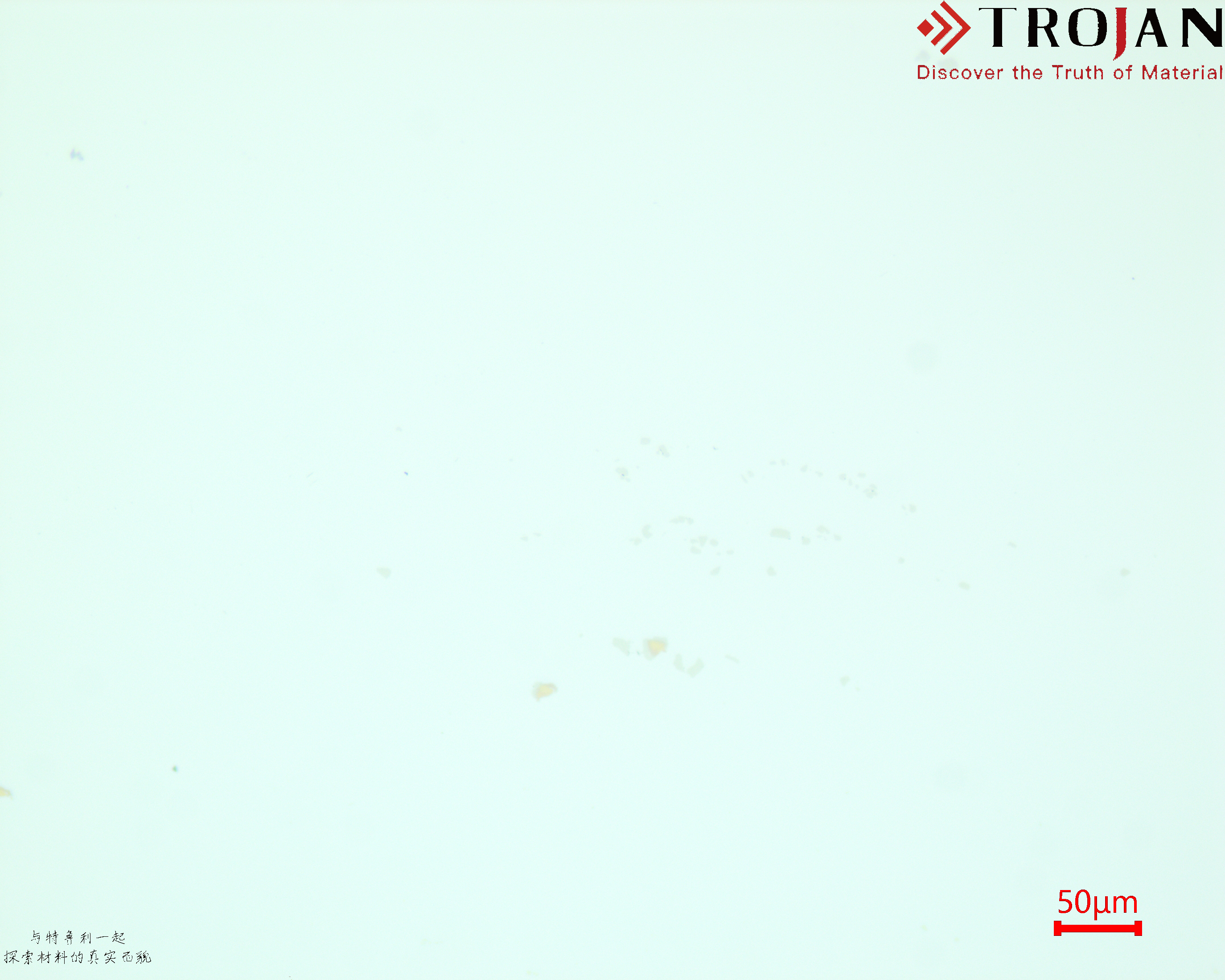 GH4169 Metallographic Microstructure 50μm