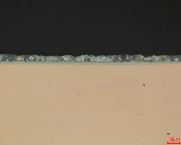 High magnification view of coating interface