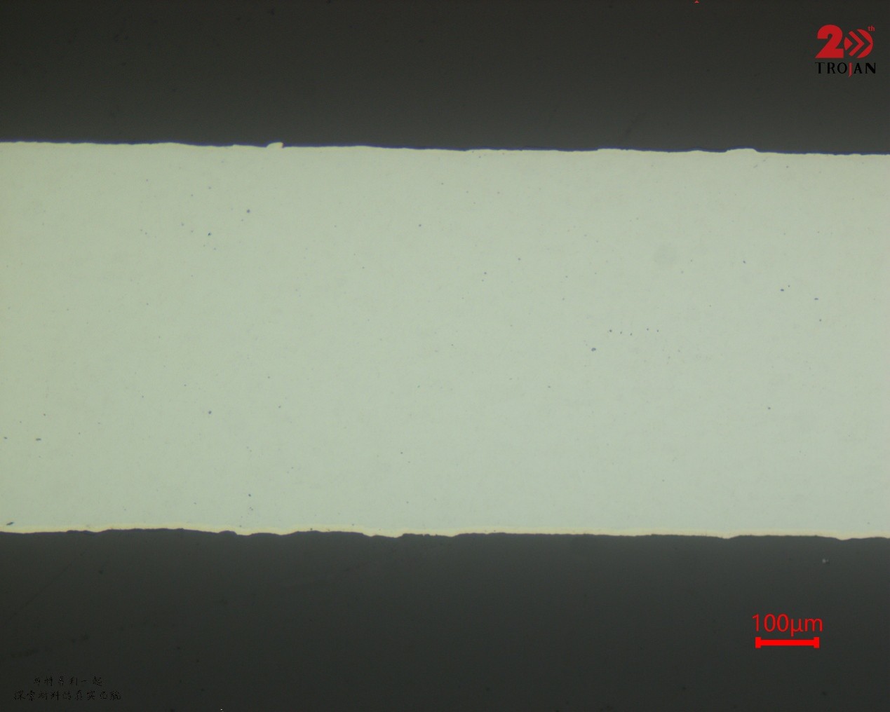 SPCC full thickness cross-section view