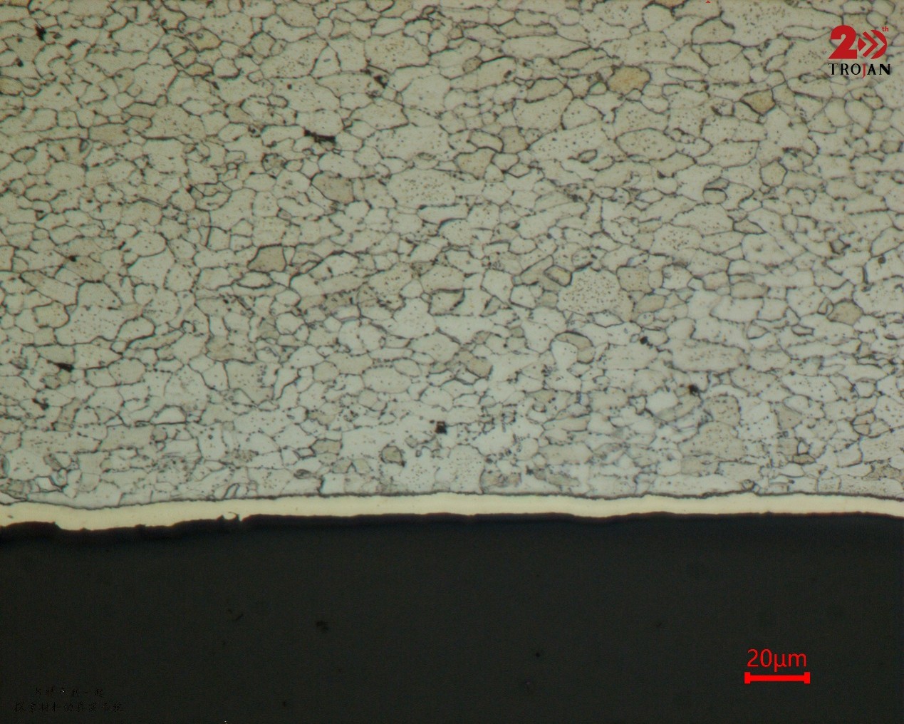 SPCC polished and etched grain structure
