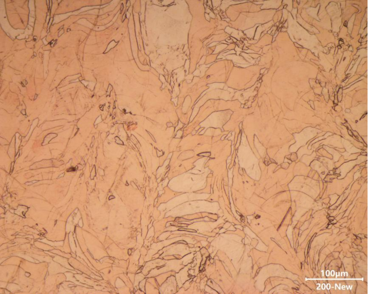 Detailed grain structure and melt-pool morphology of copper sample