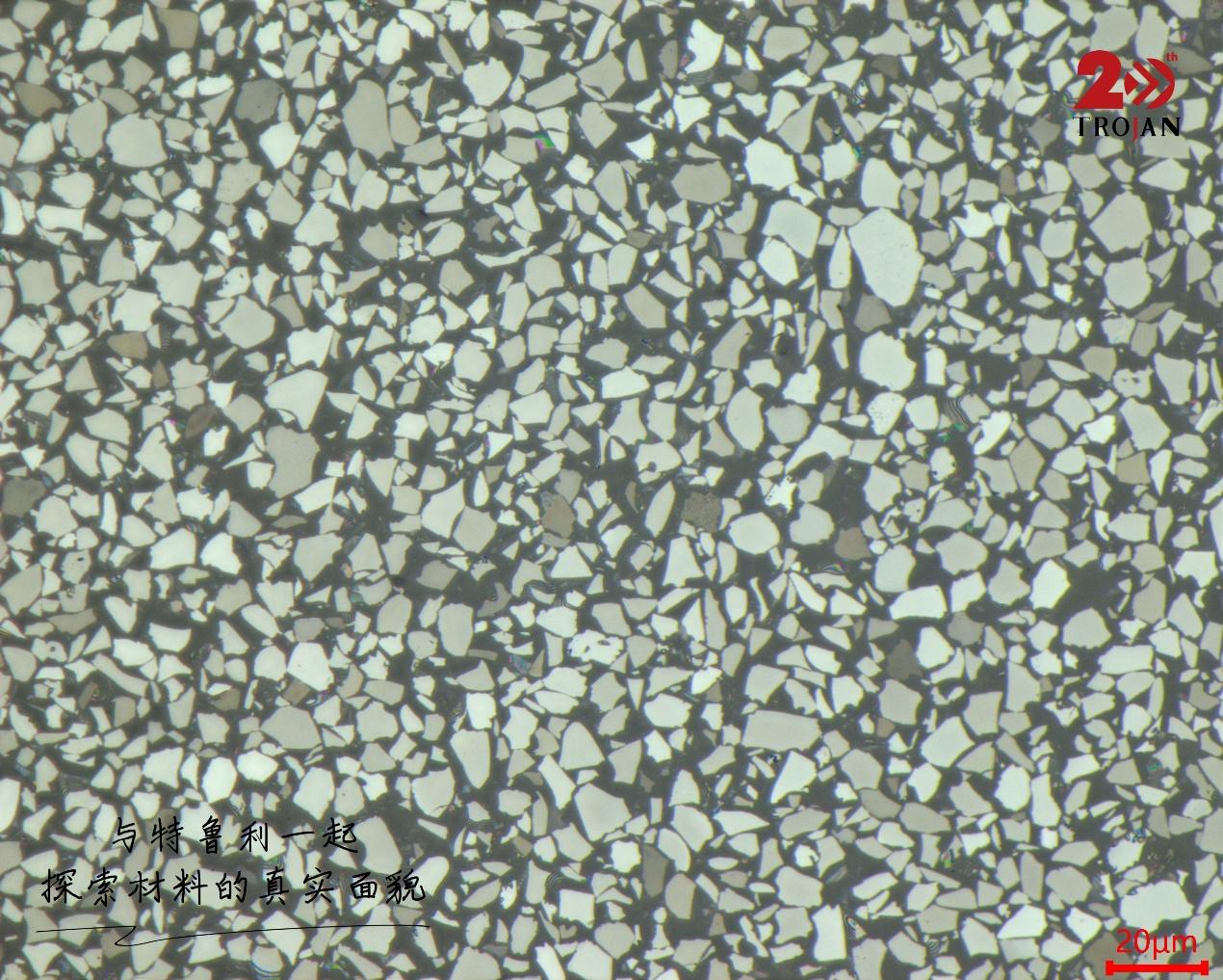 Silicon–Carbon Anode Microstructure 1