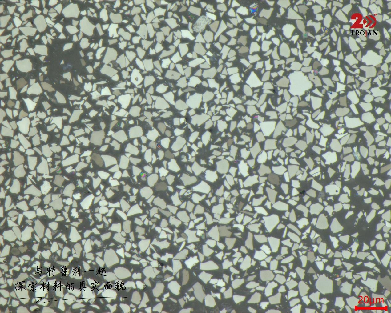 Silicon–Carbon Anode Microstructure 2