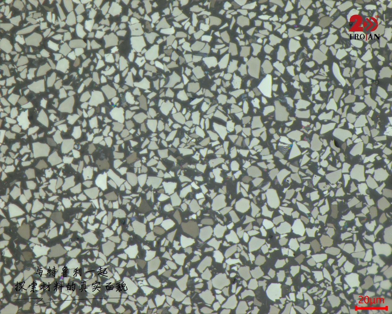 Silicon–Carbon Anode Microstructure 4