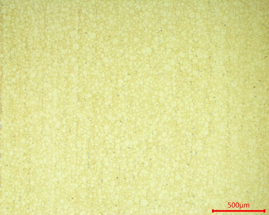 Annealed Inconel 718 Microstructure